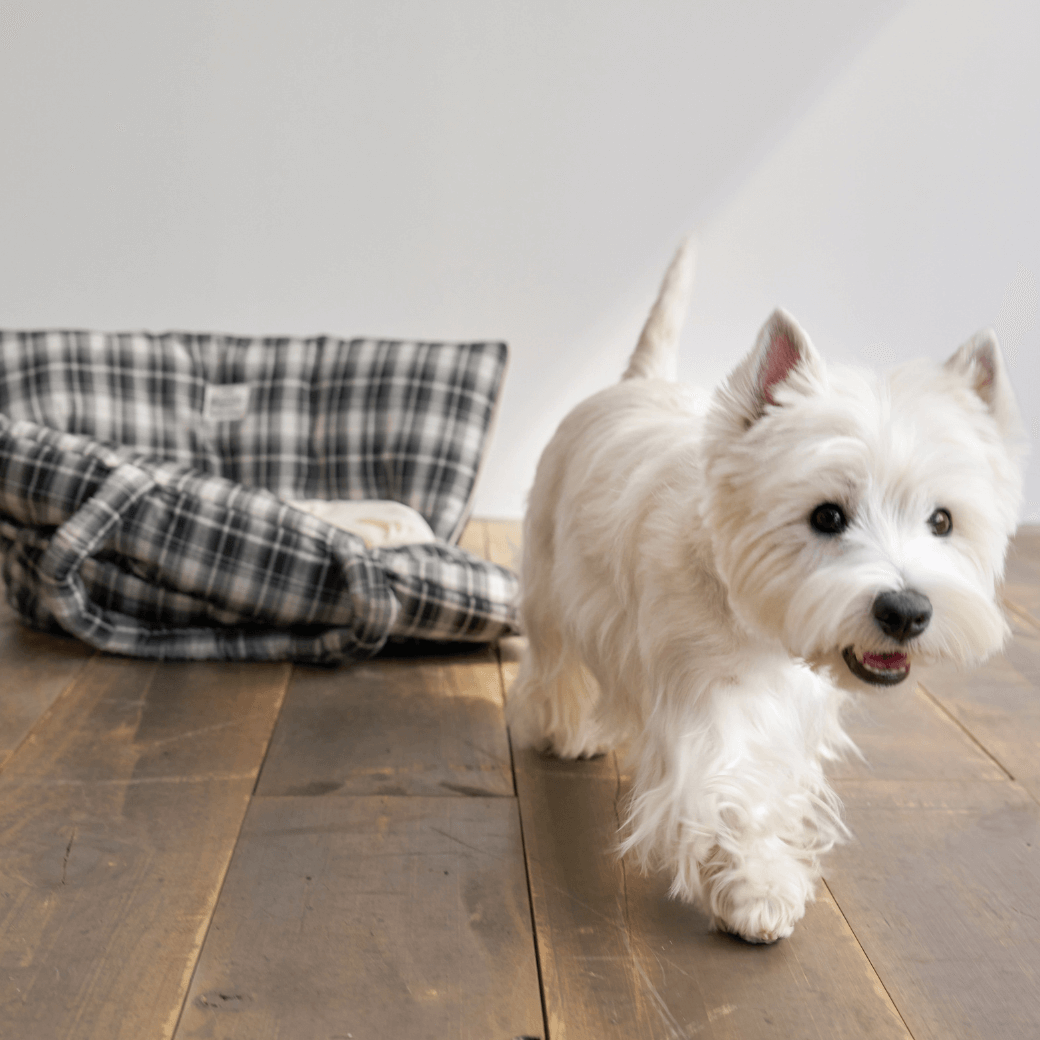 APERTY wide bag tartan black