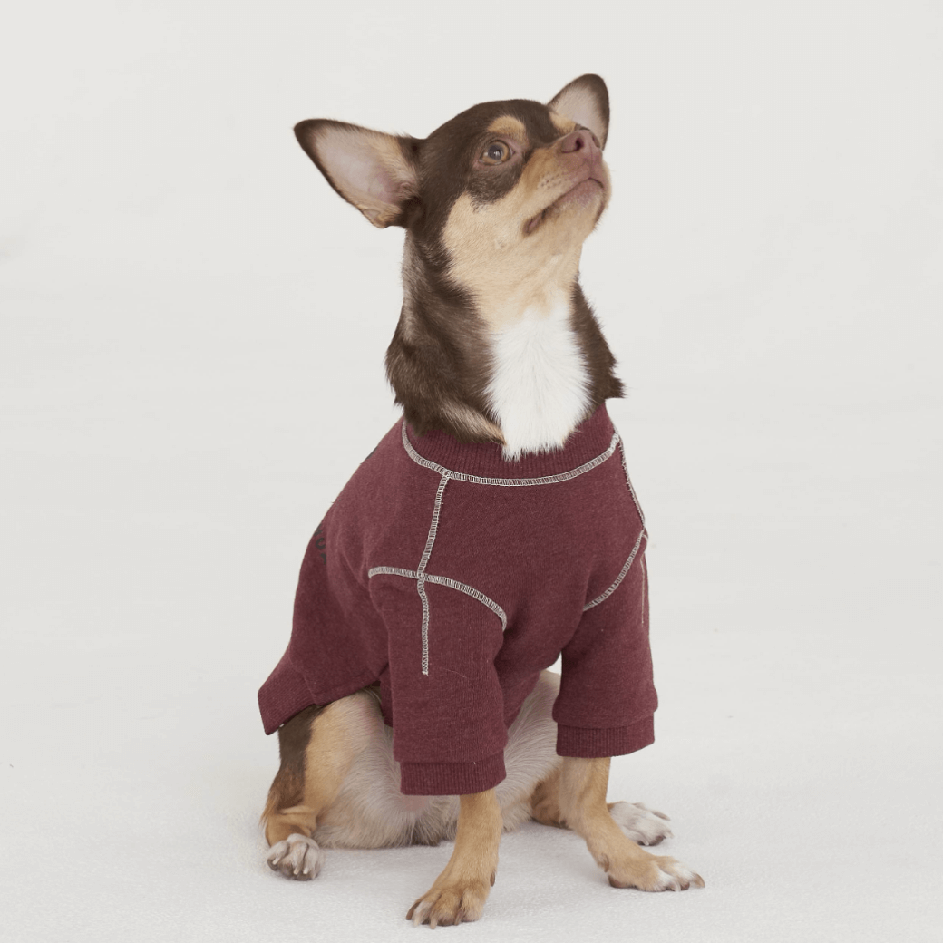 Logo Graphic Sweatshirt (2color)