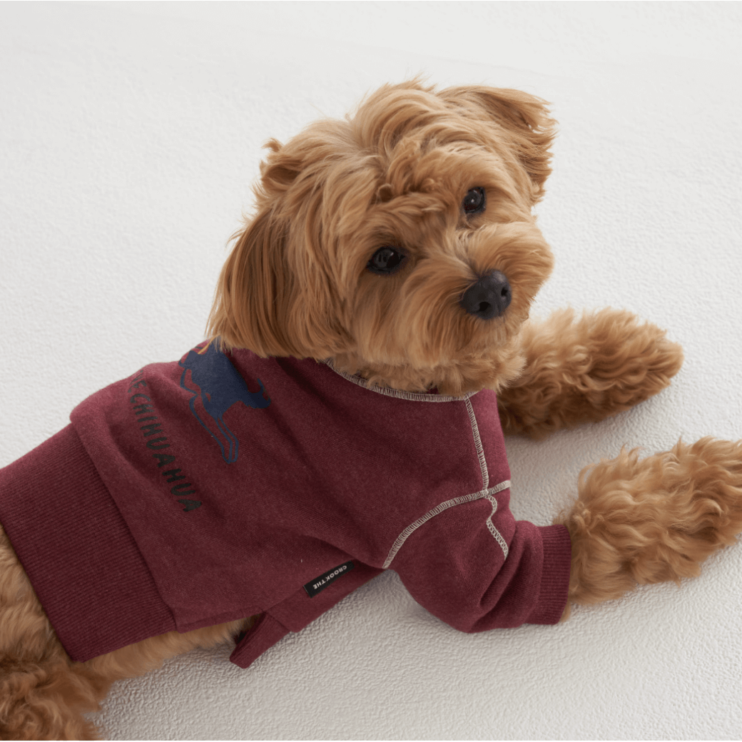 Logo Graphic Sweatshirt (2color)