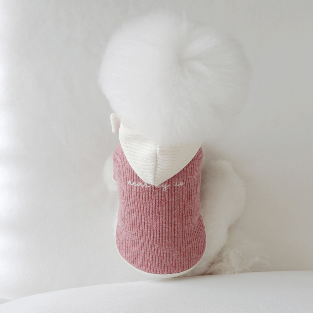 palette wool knit top (mix berry)