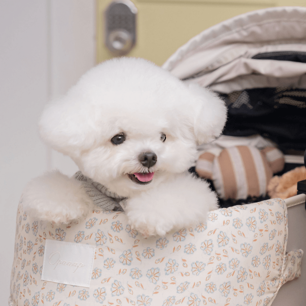 Fluffy Buggy Puff (Blue Bloom)