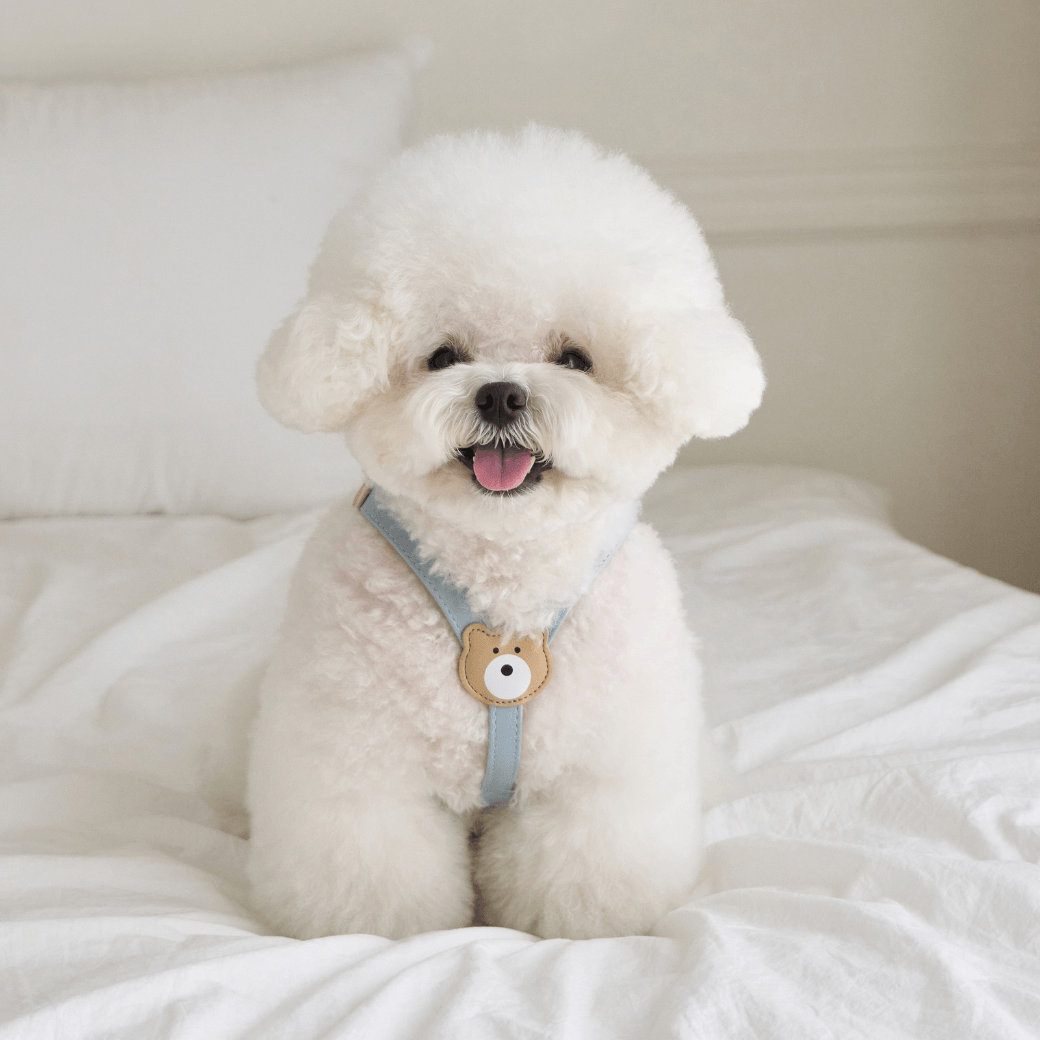 BEAR HARNESS(Indi Blue)