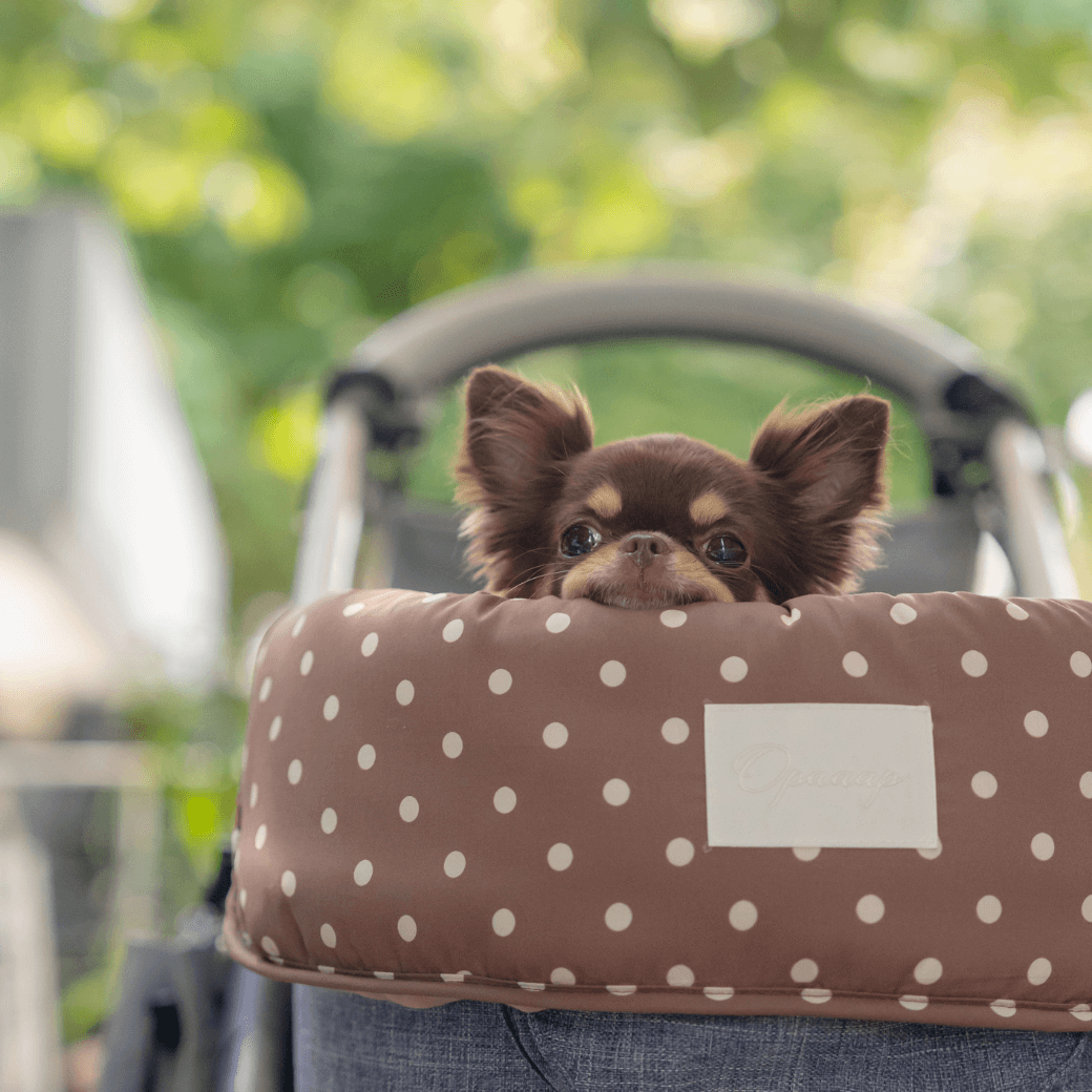 【予約】Fluffy Buggy Puff (Mocha Dot)