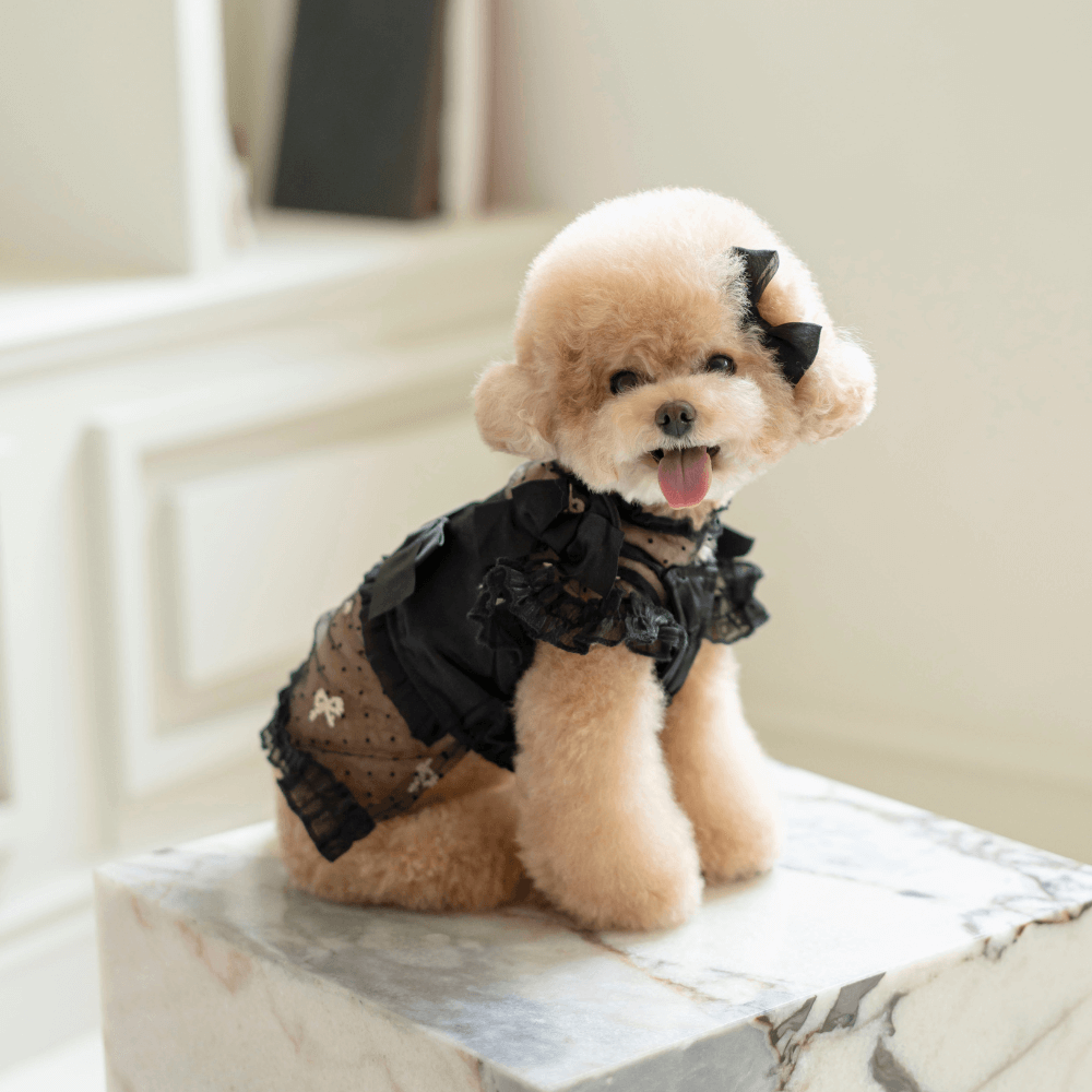 Shiny Ribbon Bustier(Shimmer Black)