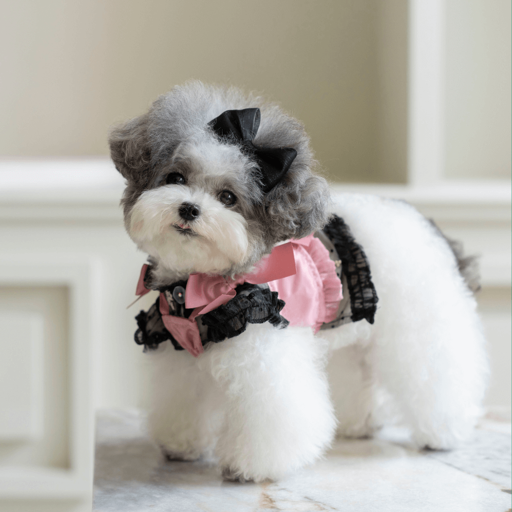 Shiny Ribbon Bustier(Rose Pink)