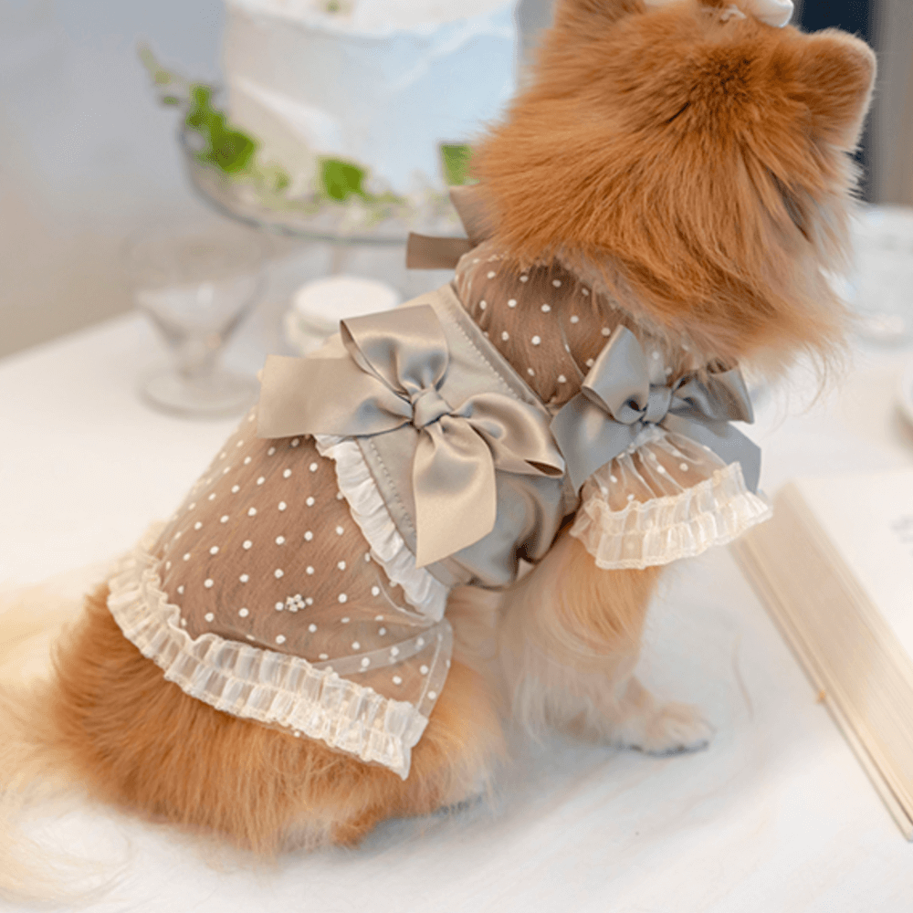 Shiny Ribbon Bustier(Olive Khaki)