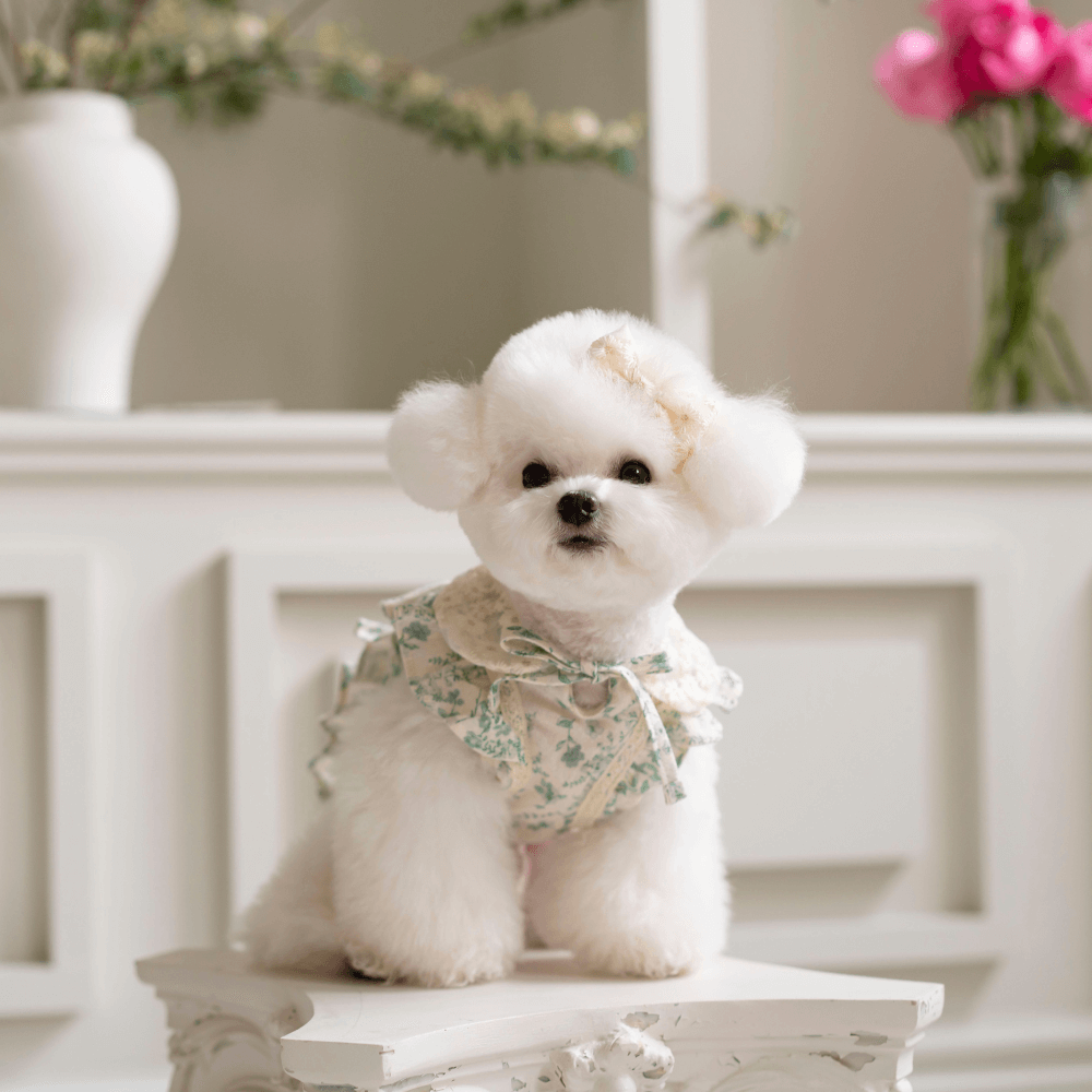 New Greenery Dress(Green)