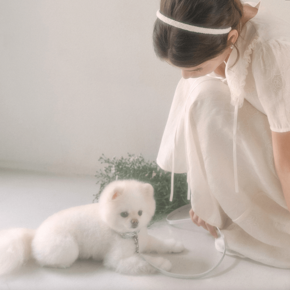 Lumiere Leash (Silver)