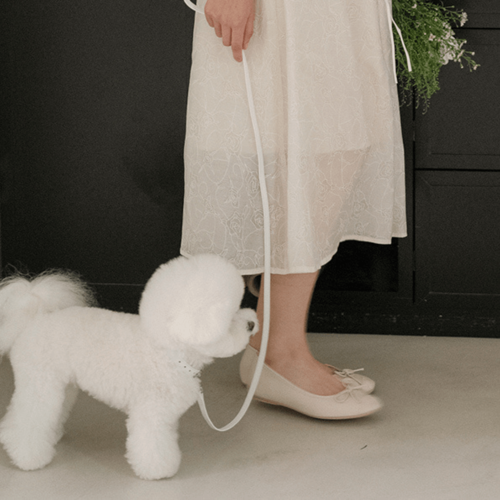 Lumiere Leash(White)