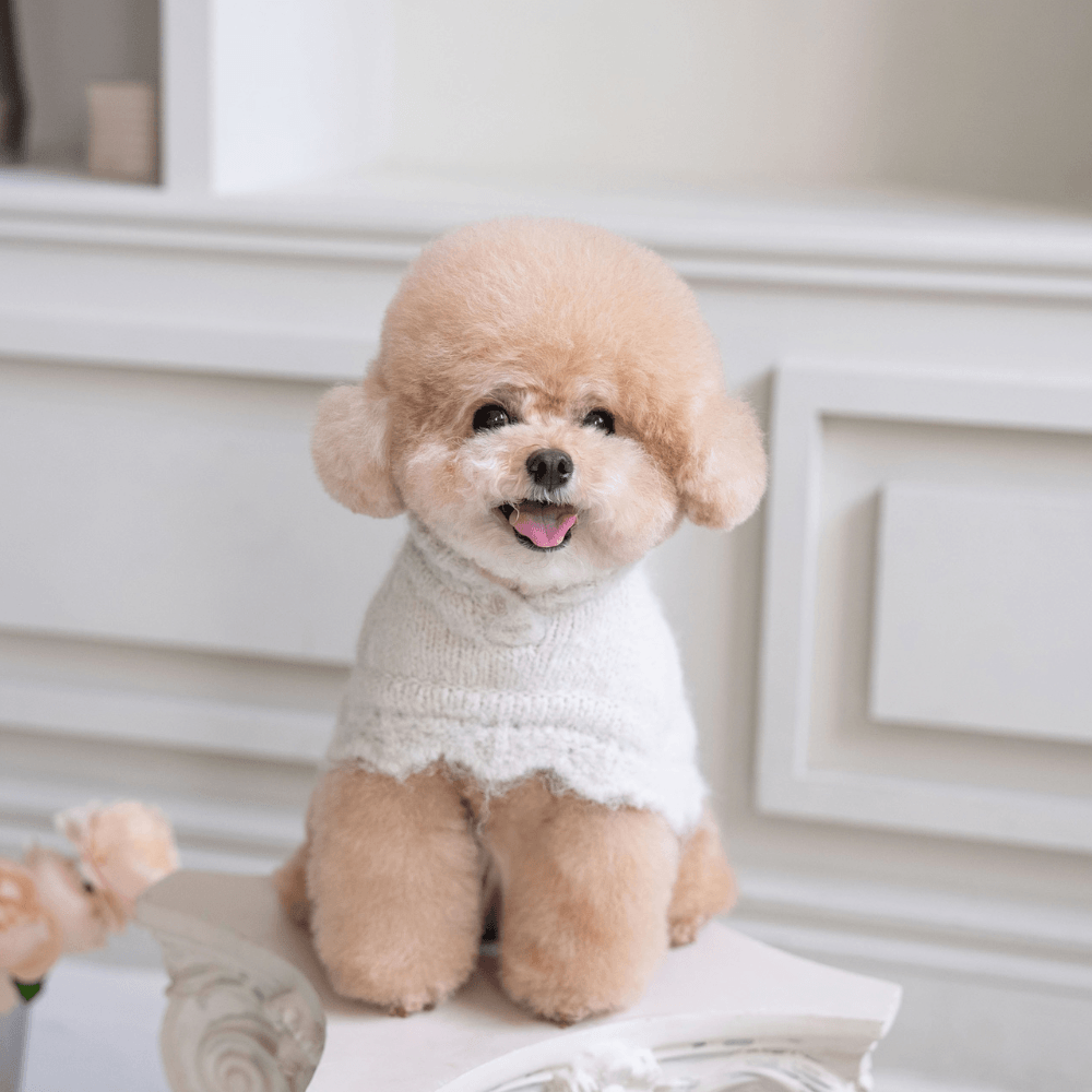 LOLO Poncho Knit(cloud white)