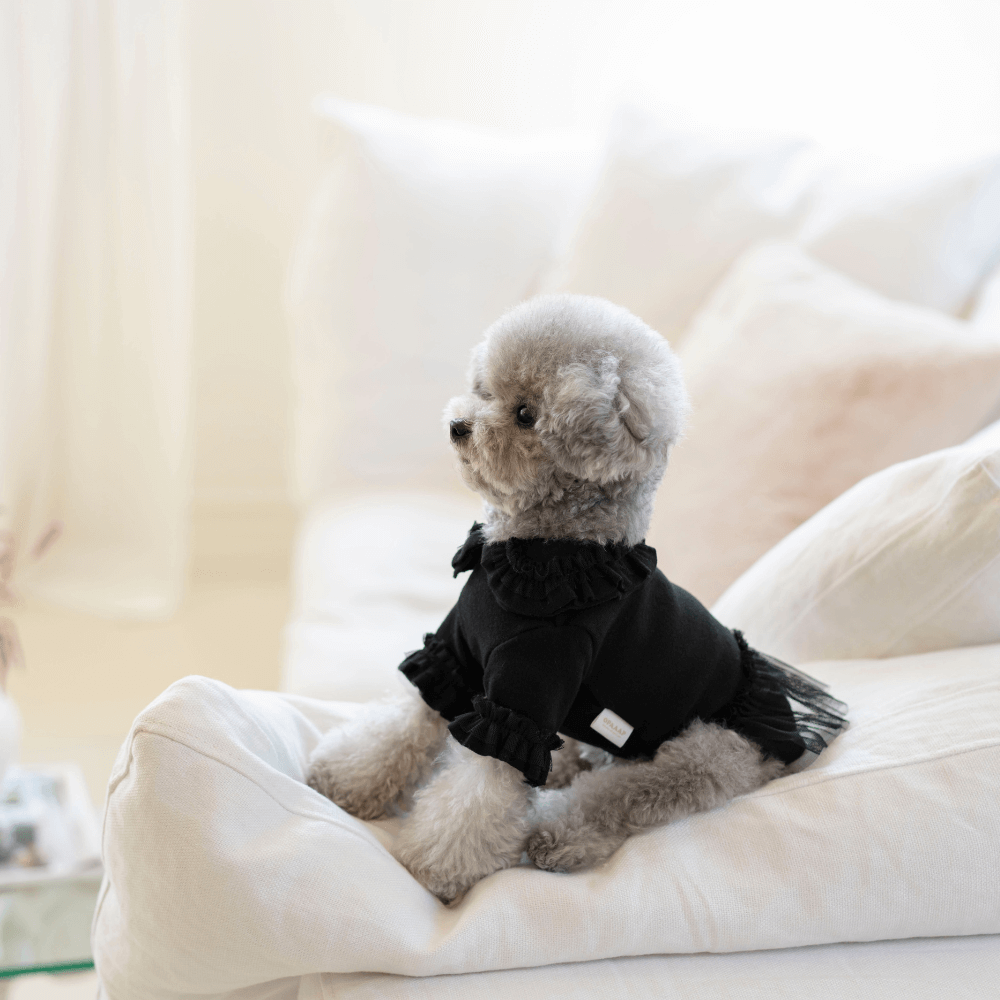 Plie Tu-Tu T-shirt(Black)