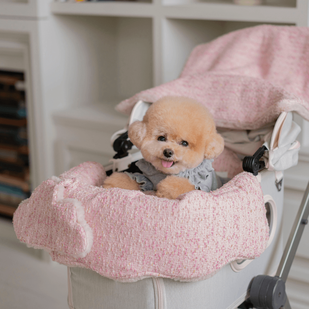 【予約】Couture Buggy Guard