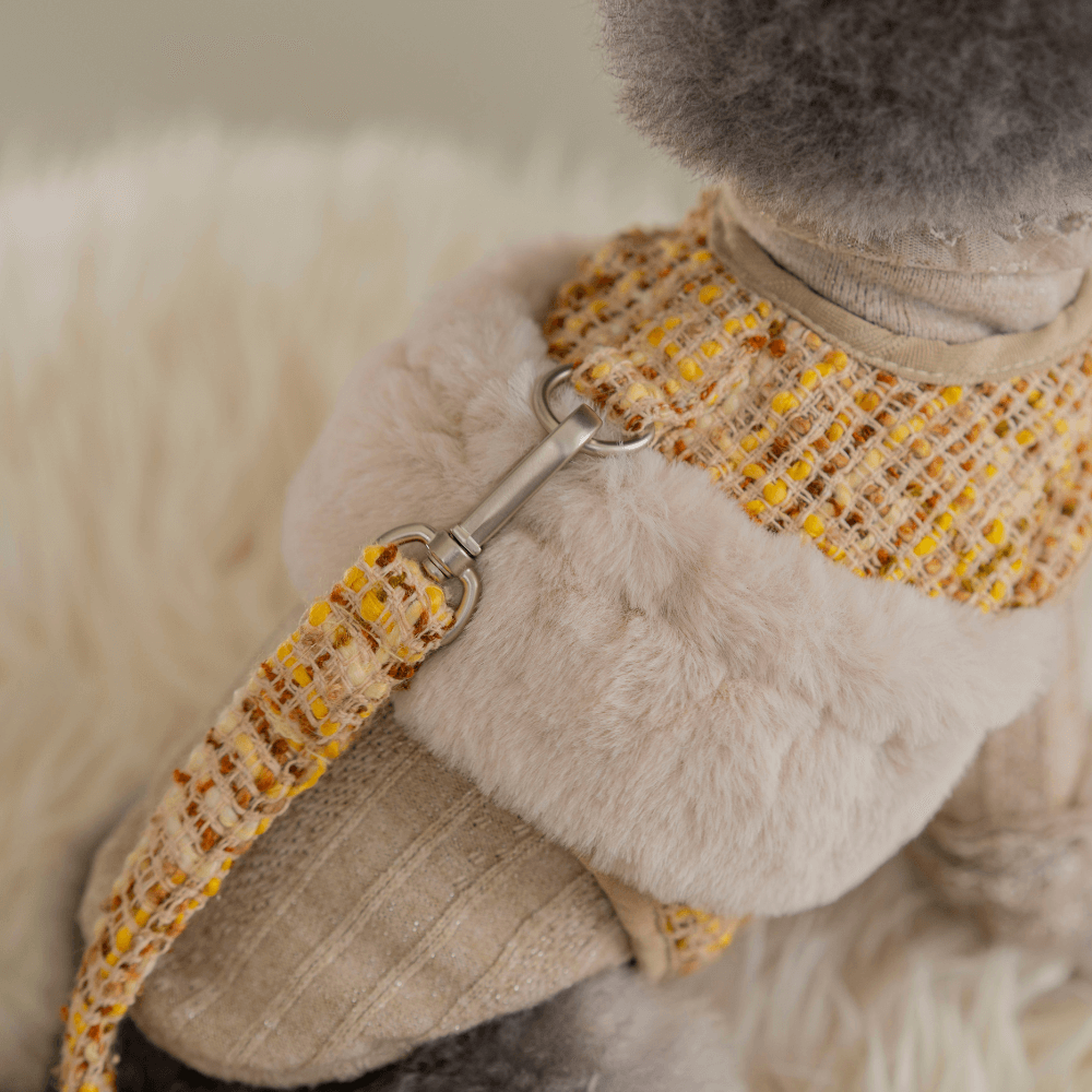 COCO Holiday Tweed Leash
