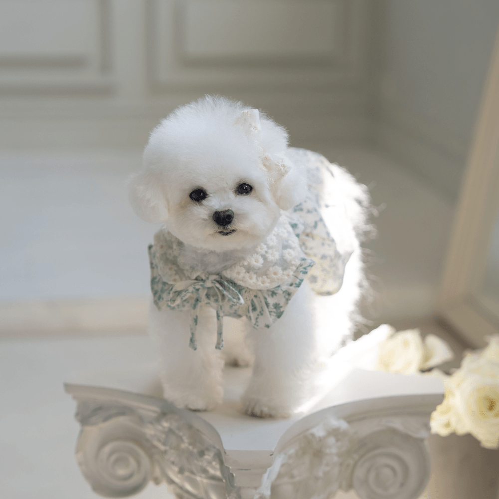 New Greenery Dress(Green)