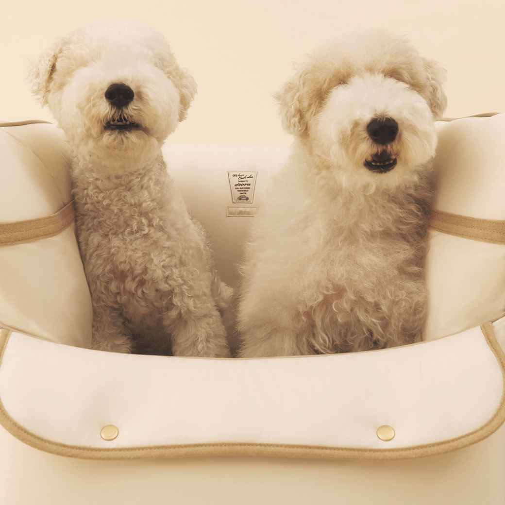 Cruise Car Seat (Beige)