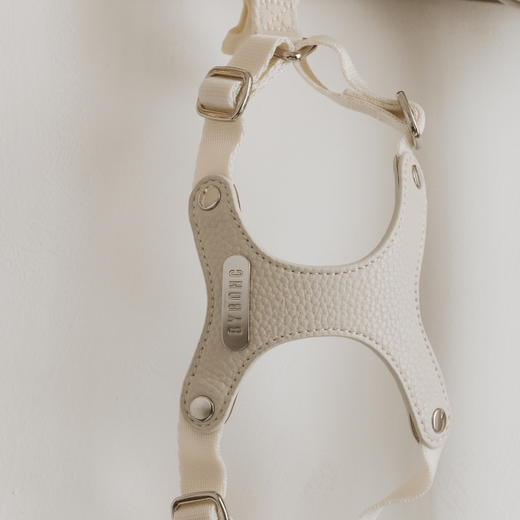 DELIGHT HARNESS(クリーム)
