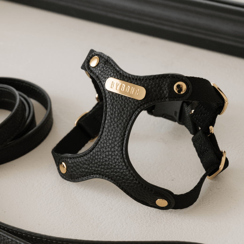 DELIGHT HARNESS(ブラック)