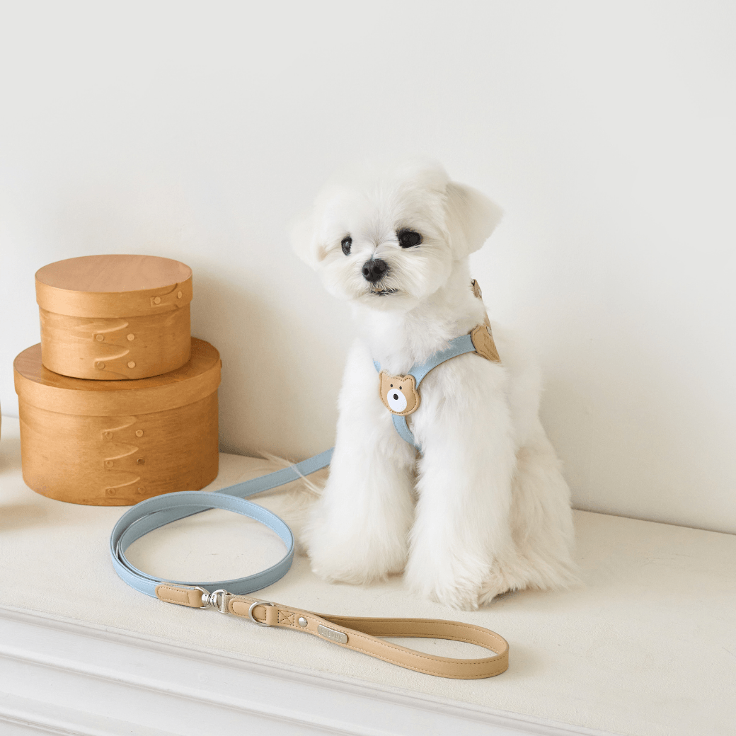BEAR 150cm LEASH(Indi Blue)