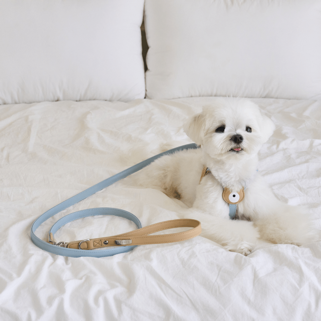 BEAR 150cm LEASH(Indi Blue)