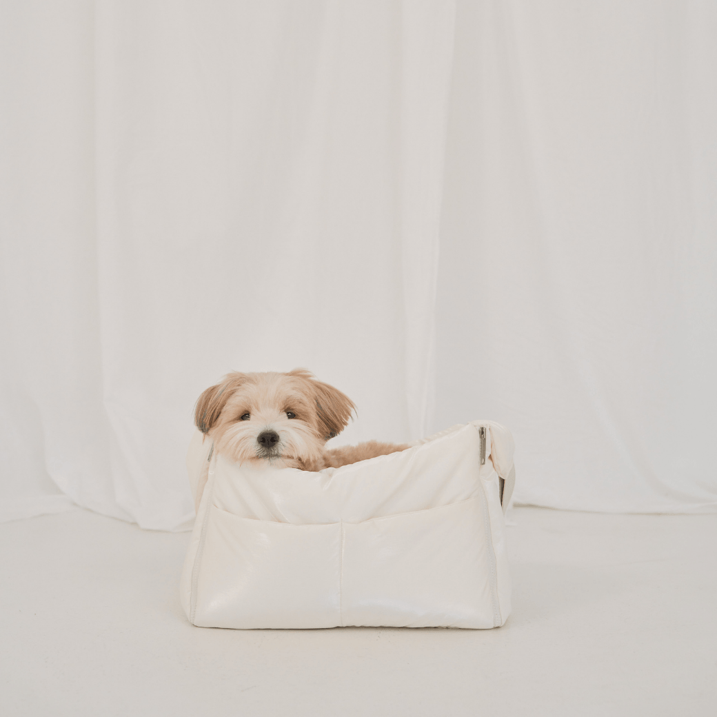 【予約】open bag - glossy ivory(APERTY)