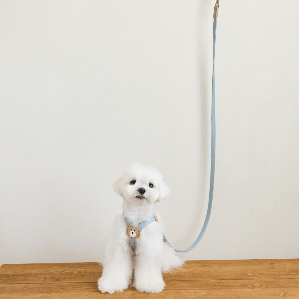 BEAR 150cm LEASH(Indi Blue)