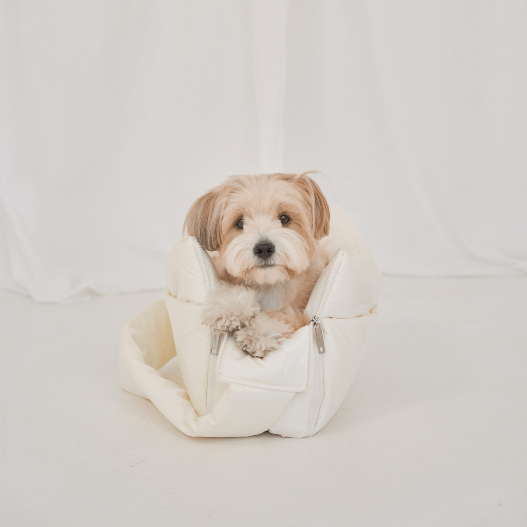 【予約】open bag - glossy ivory(APERTY)