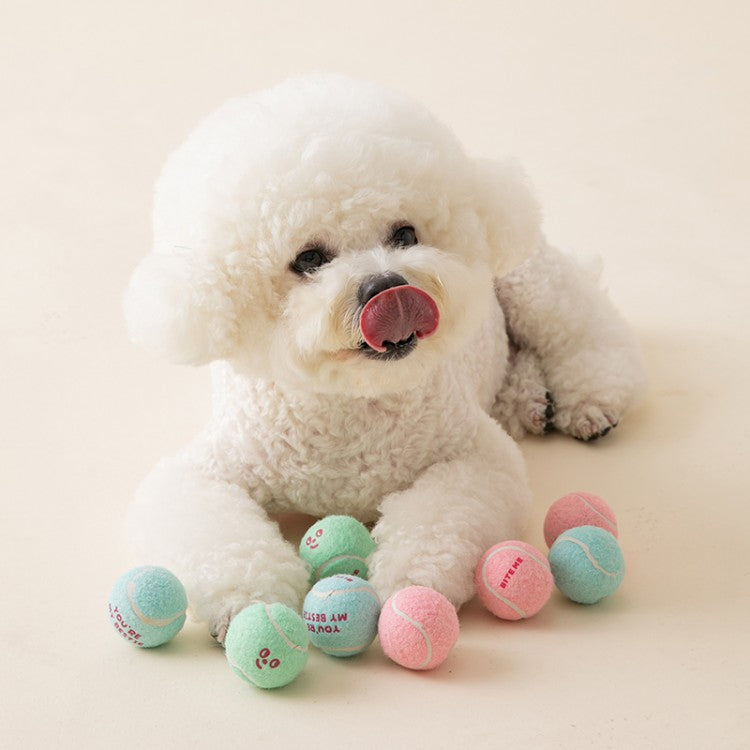 ミニテニスボールトイ(3個セット)