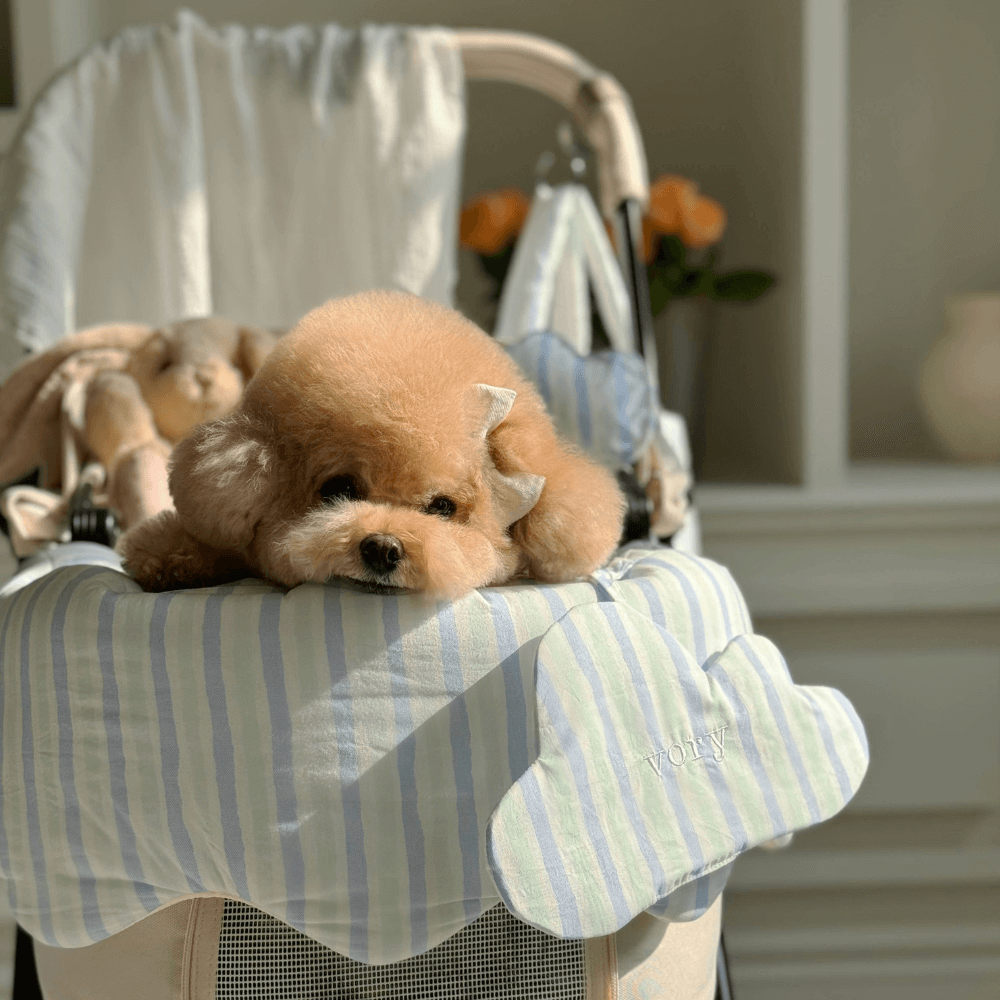 【予約】Fluffy Buggy Guard 25SS(4COLOR)