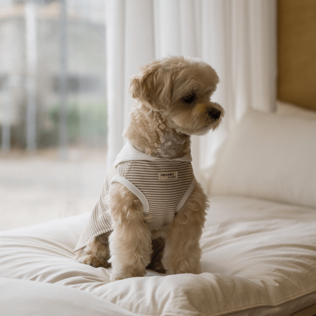 【予約】ORGANIC SAILOR SLEEVLESS(ネーム刺繍可 / 2COLOR)