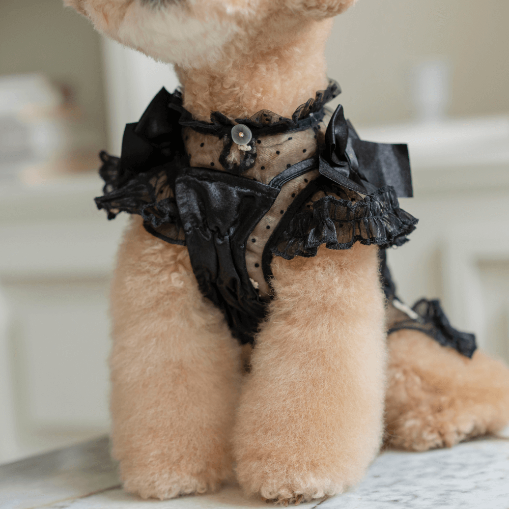 Shiny Ribbon Bustier(Shimmer Black)