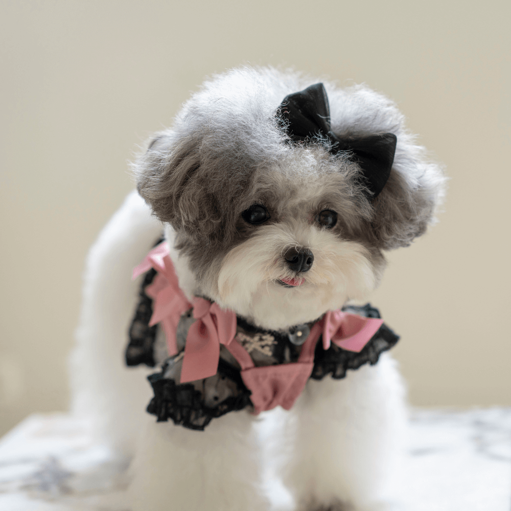 Shiny Ribbon Bustier(Rose Pink)