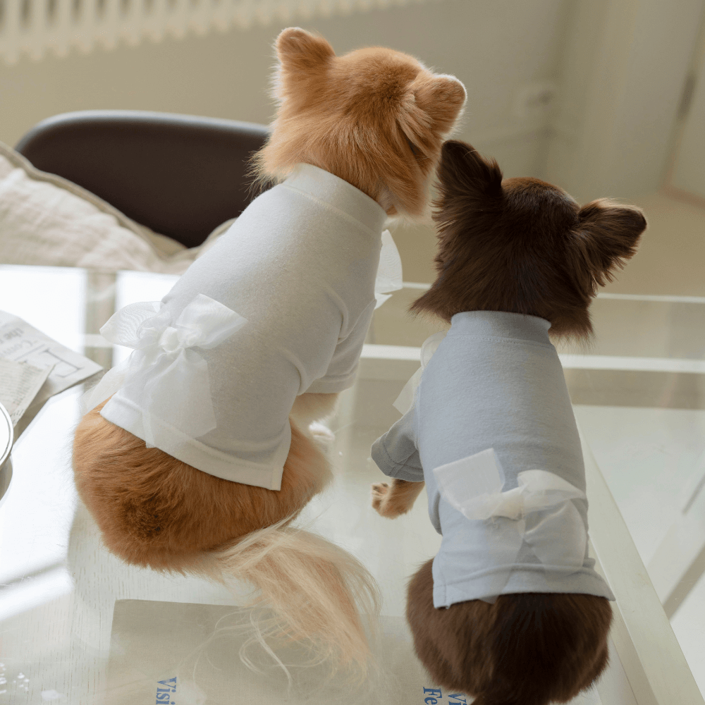 Wool-Like Bow T-shirt (White)