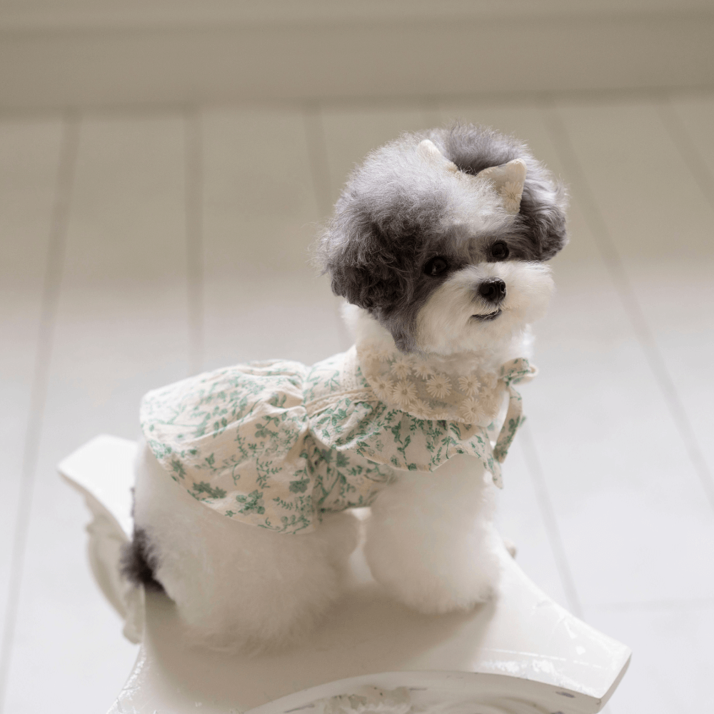 New Greenery Dress(Green)