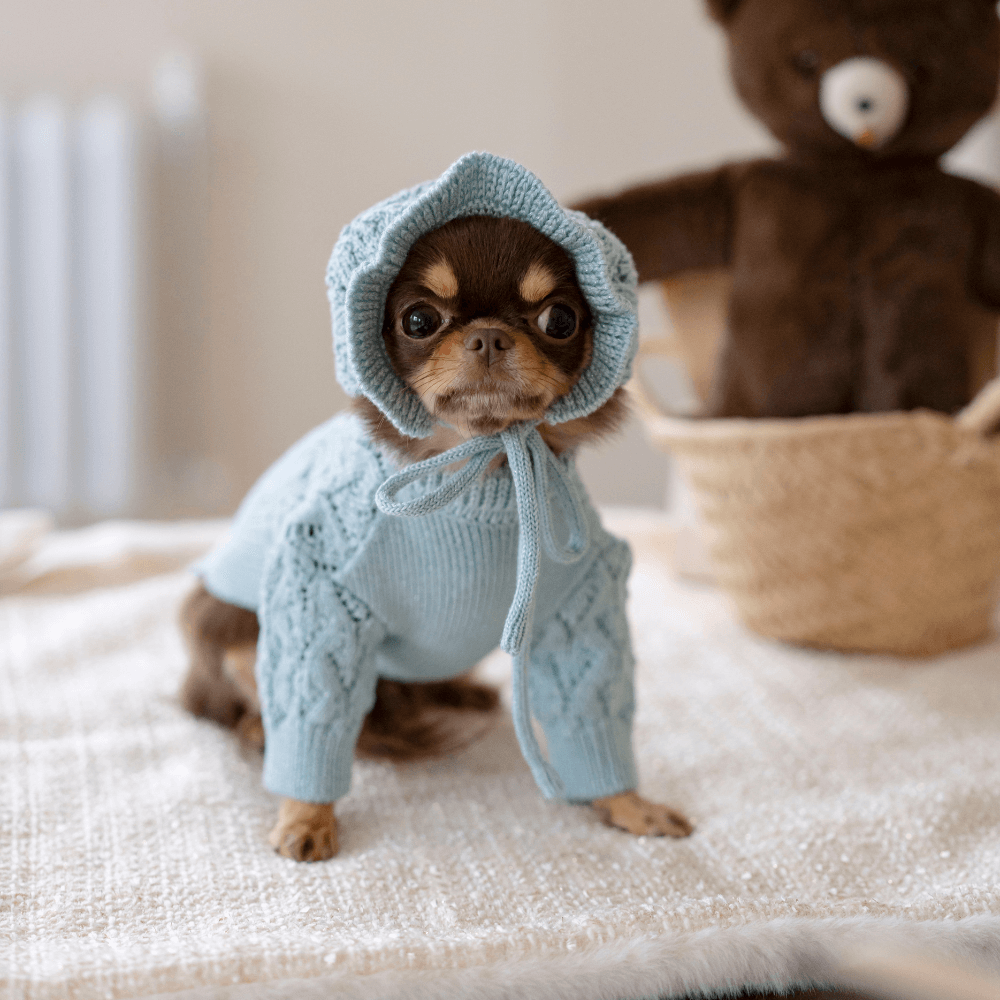 My Little Star Knit(Day Sky Blue)