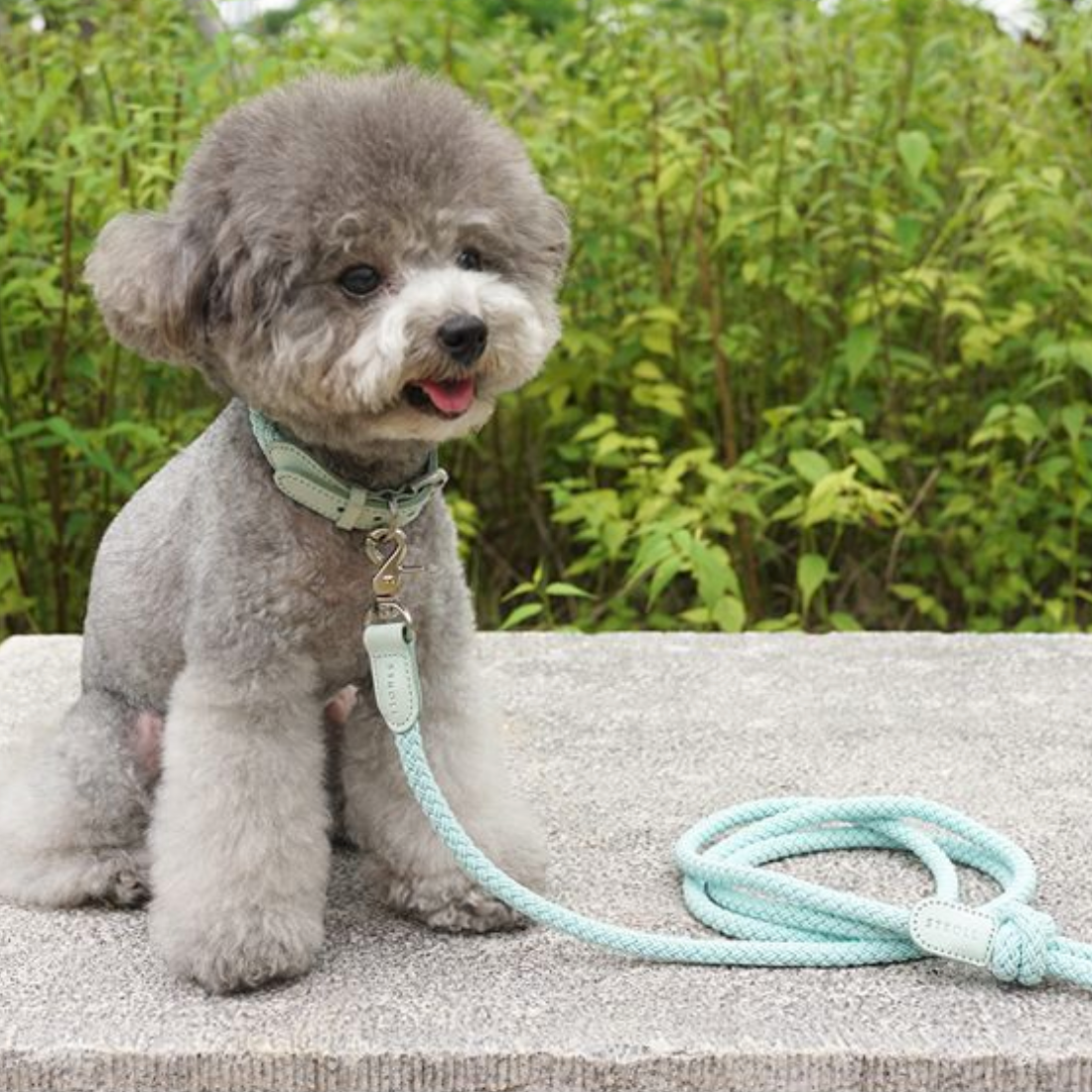 Rope Collar(ミント)