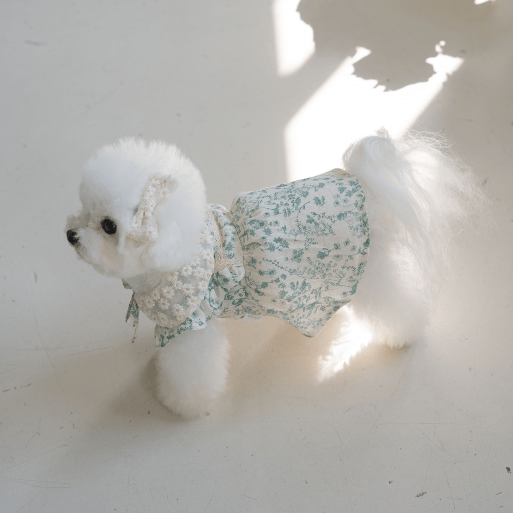 New Greenery Dress(Green)