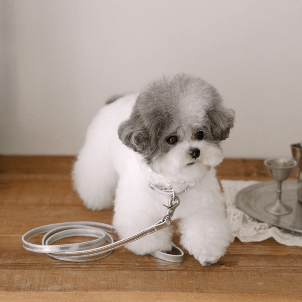 Lumiere Leash (Silver)