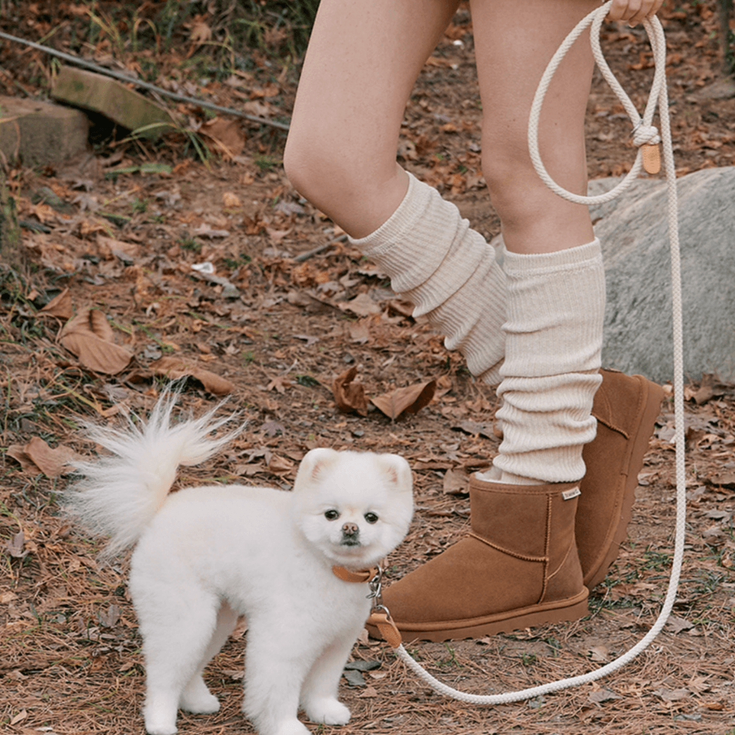 Rope Leash (Beige)