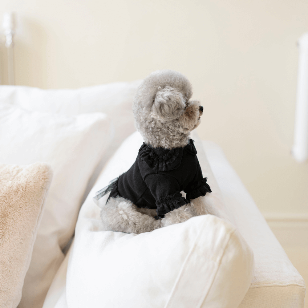 Plie Tu-Tu T-shirt(Black)