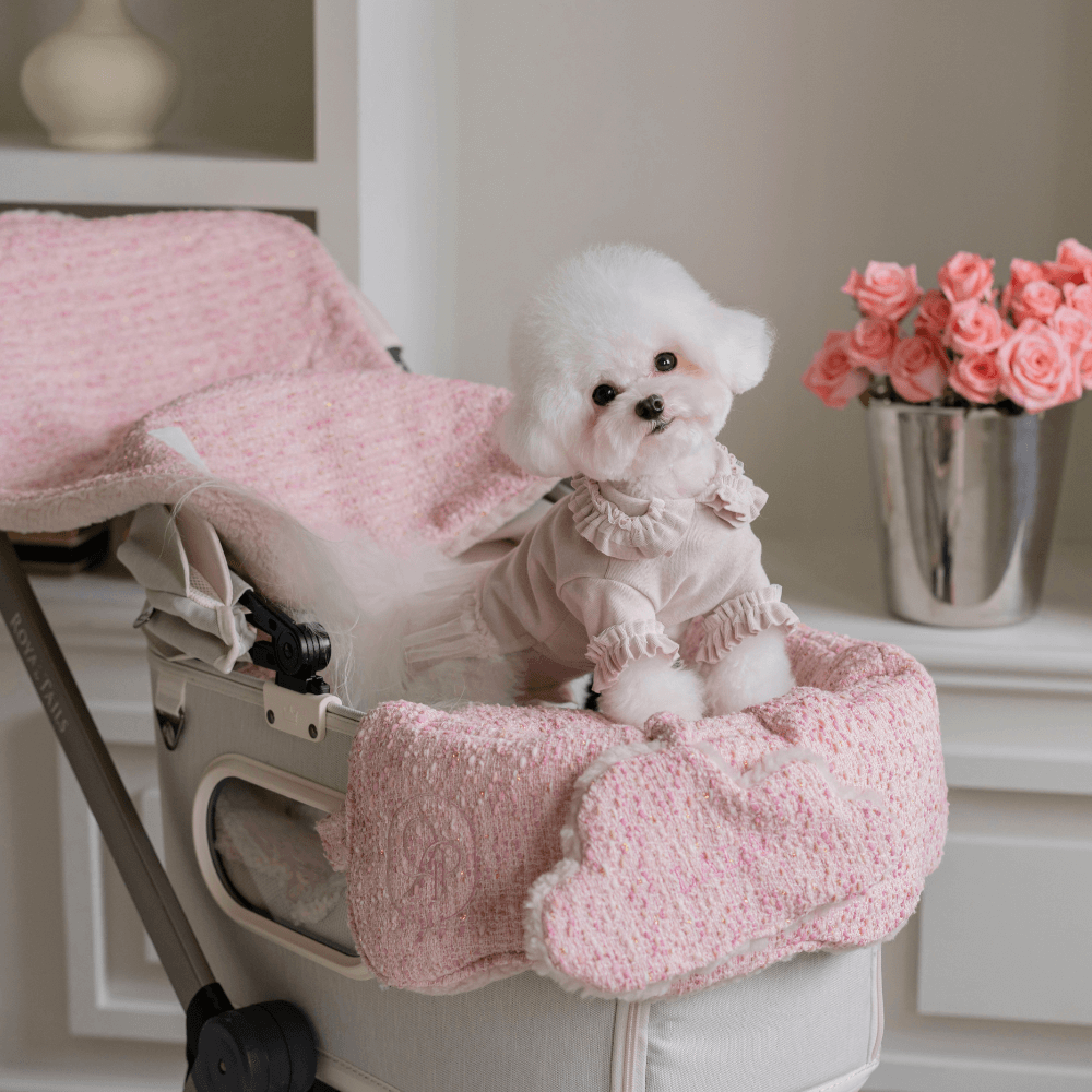 【予約】Couture Buggy Guard