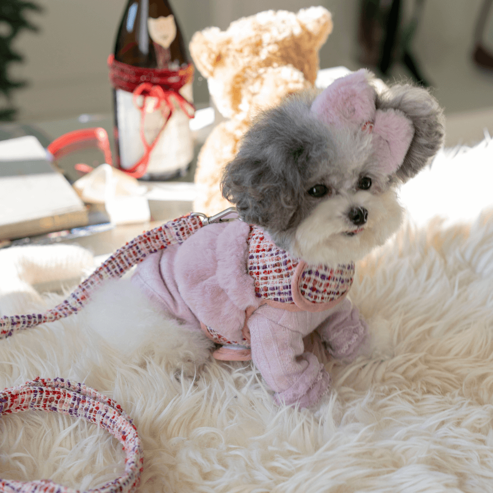 COCO Holiday Tweed Leash