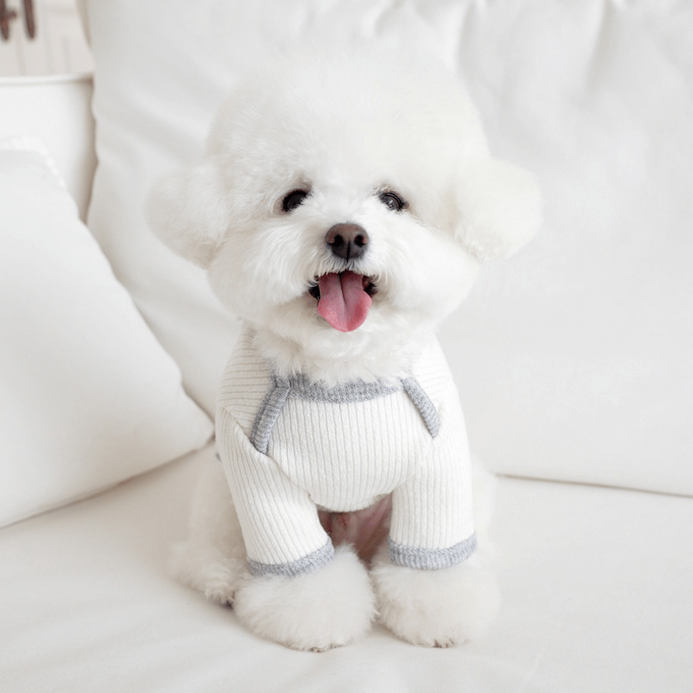 palette wool knit top (ivory)