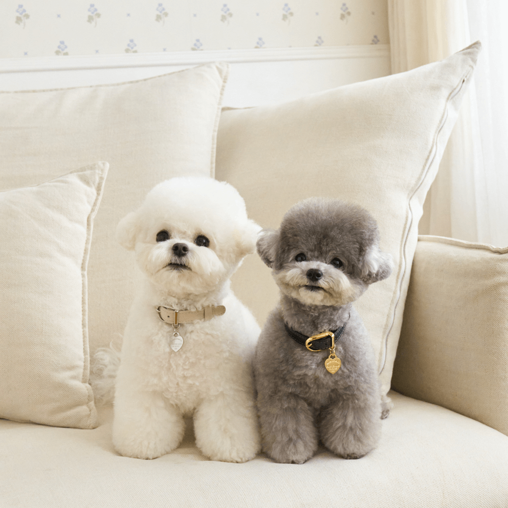 【予約】BLISS LEATHER COLLAR(Baby Cream)