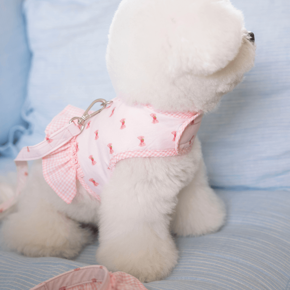 XOXO Candy Leash(Pink)