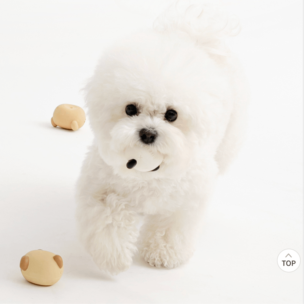 パピーラテックスTOY