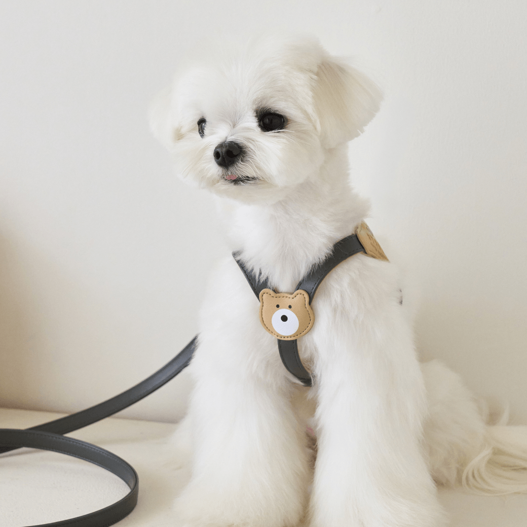 BEAR HARNESS(Dark Grey)