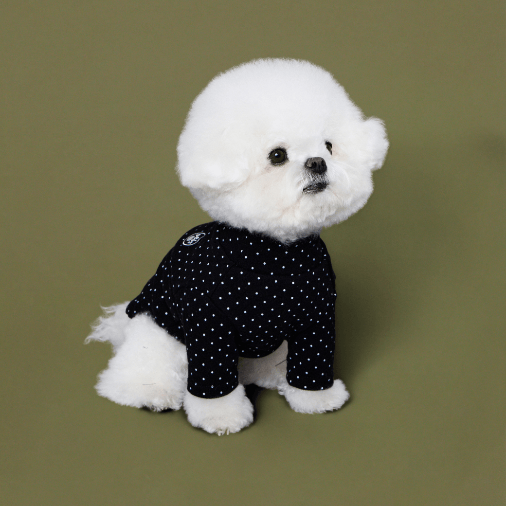 DOT‥TEE (FOR DOGS)