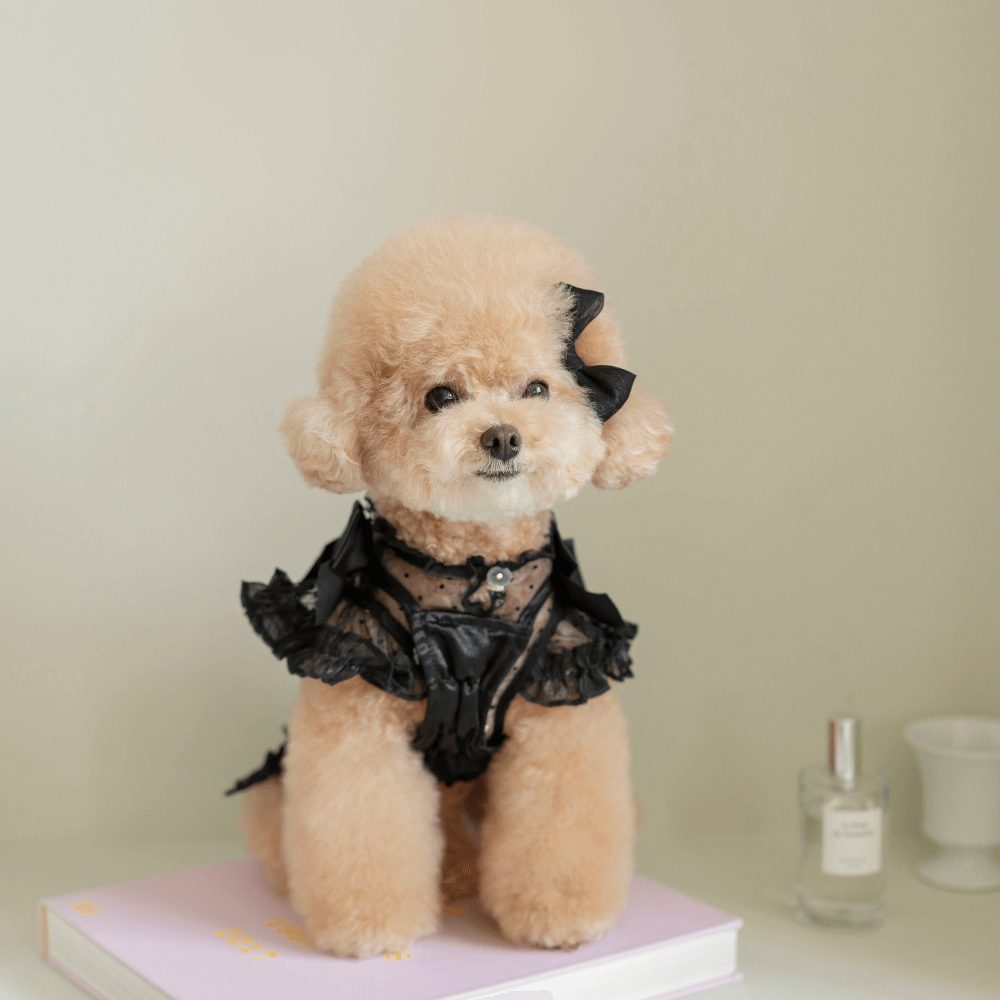 Shiny Ribbon Bustier(Shimmer Black)