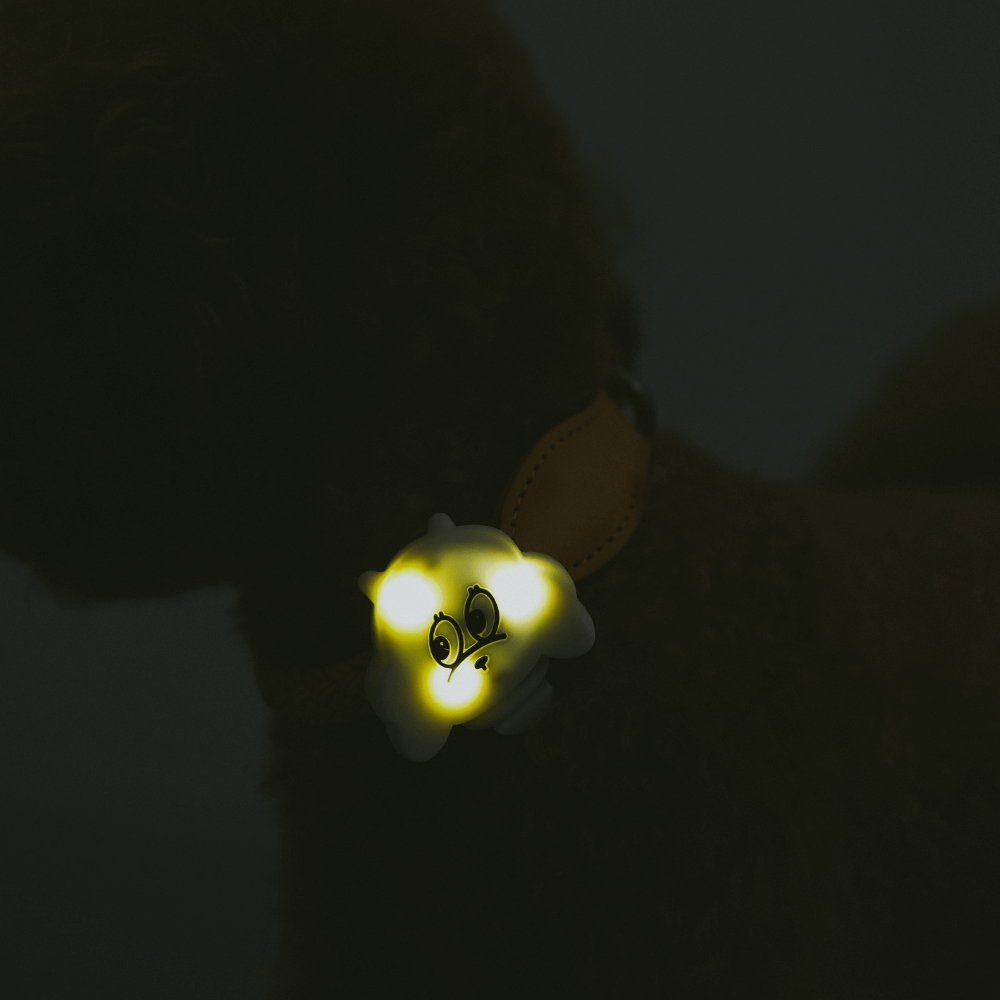犬の夜散歩用LEDライト MINIME