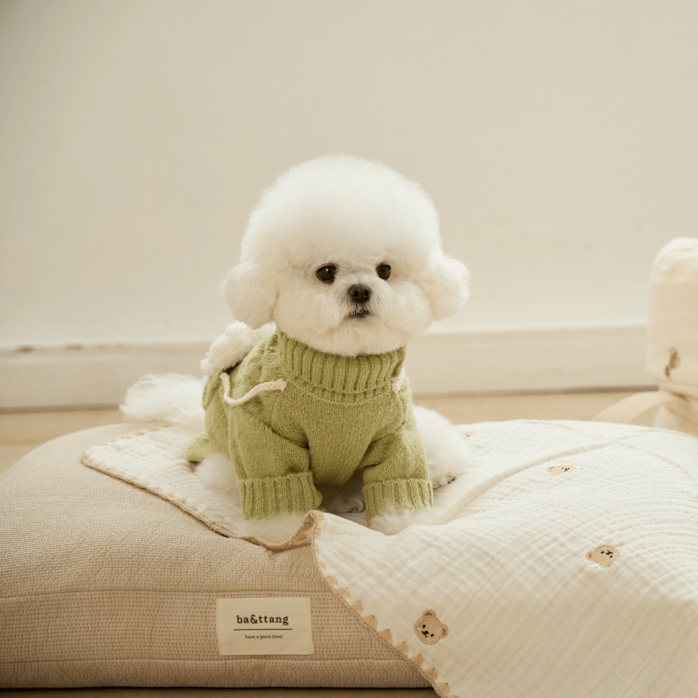 ポケットトイニットプルオーバー(オリーブ)